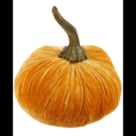 FLORA BUNDA Gold Large 6" Velvet Pumpkin ๐ - Picture 5 of 6